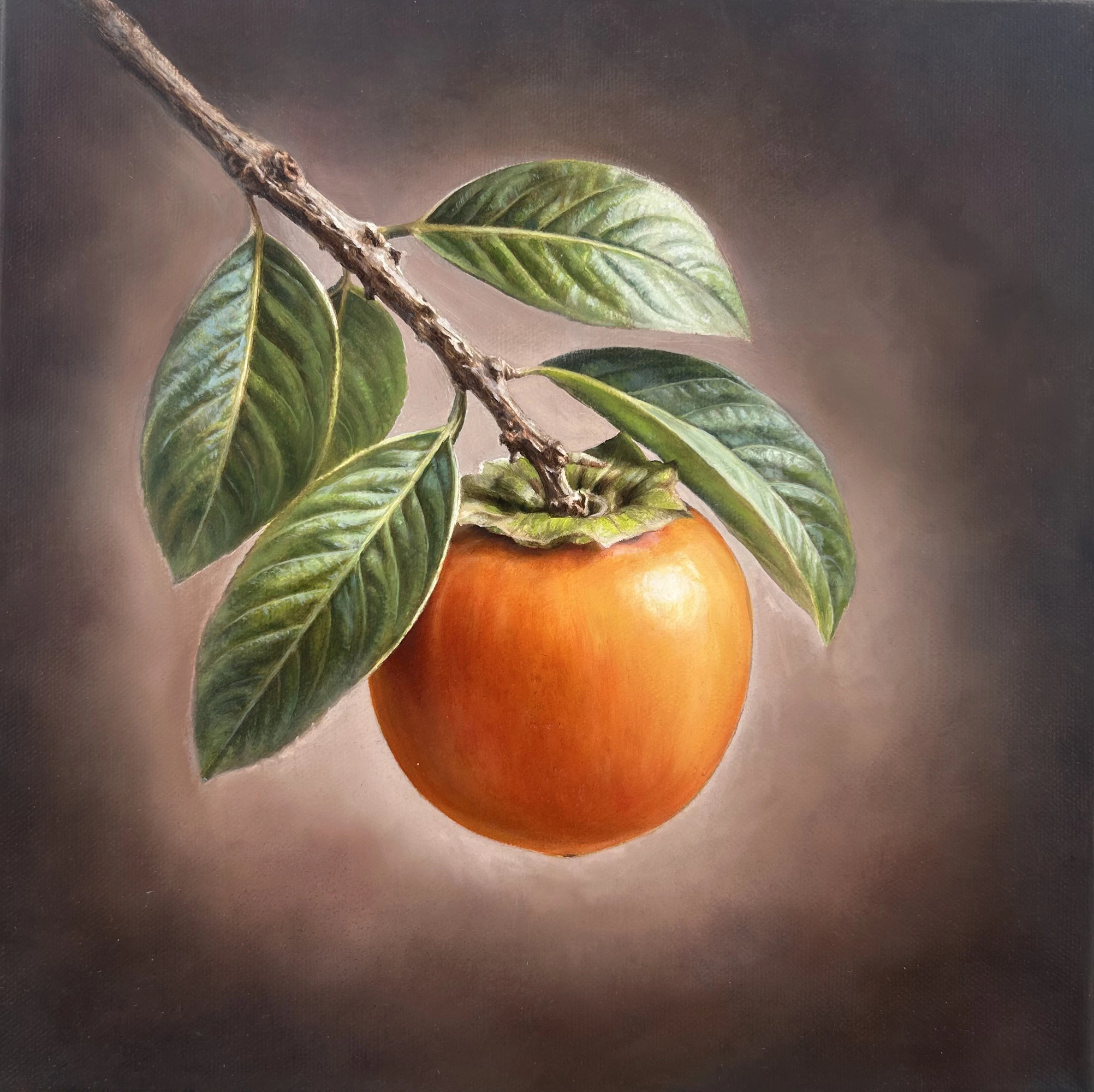 Olio su tela - 30 x 30 - 2026