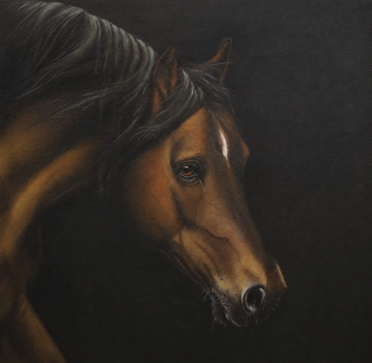 Olio su tela - 50 x 50 - 2025