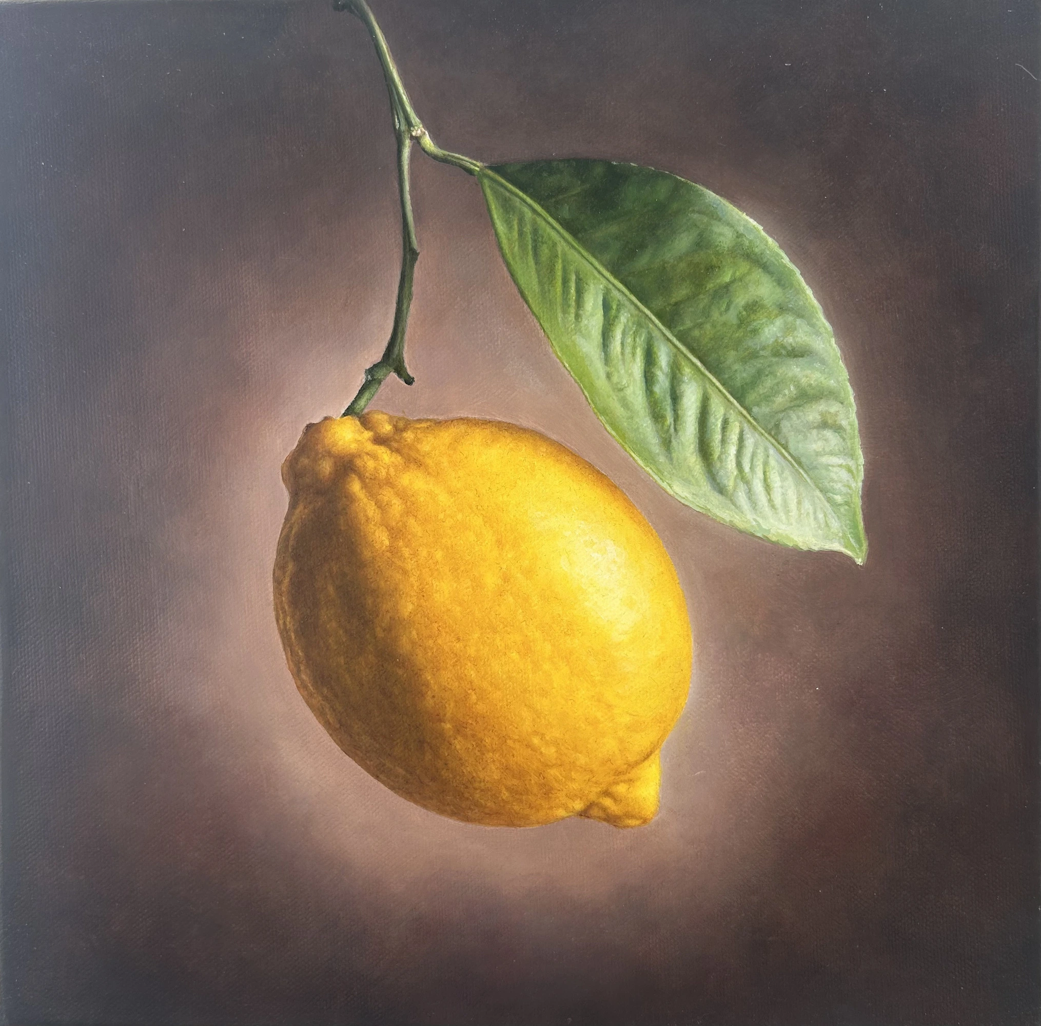 Olio su tela - 30 x 30 - 2026
