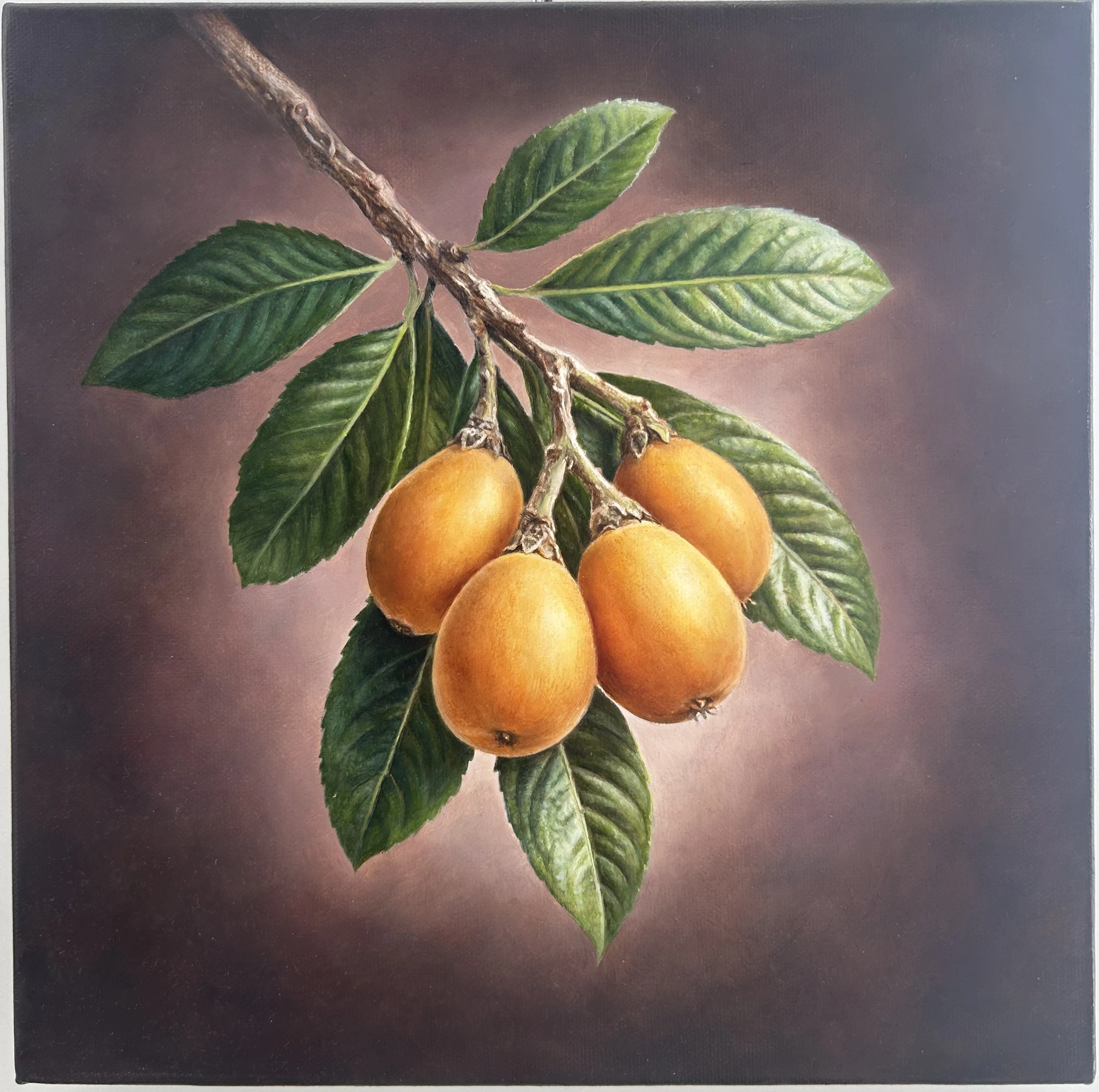 Olio su tela - 30 x 30 - 2026