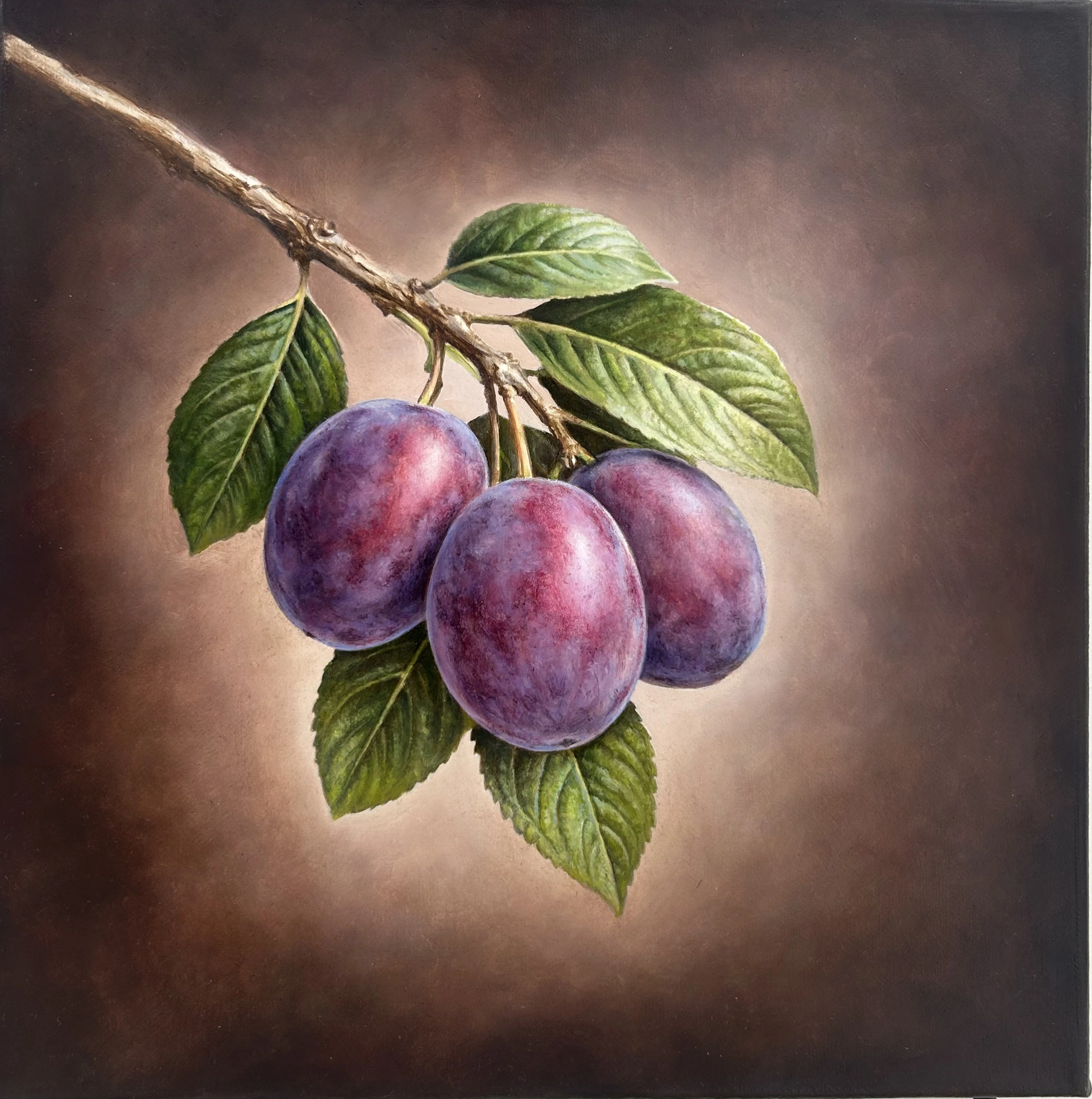Olio su tela - 30 x 30 - 2026
