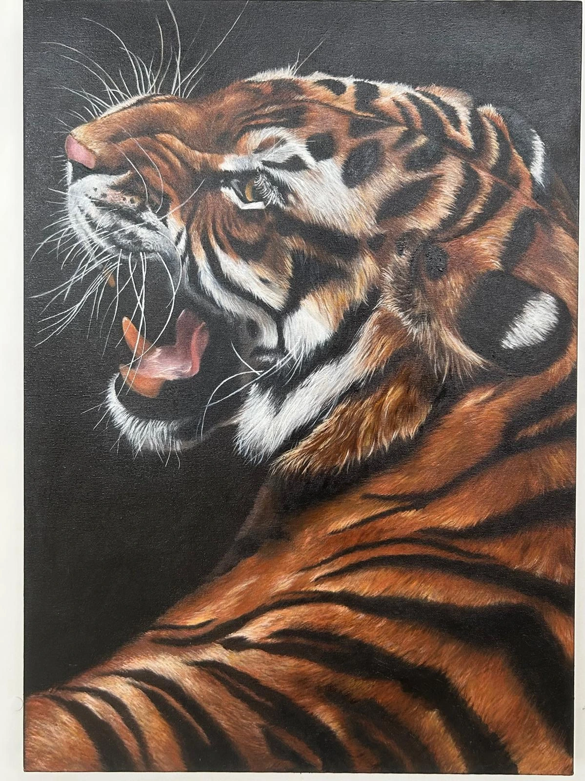 Olio su tela - 50 x 50 - 2025